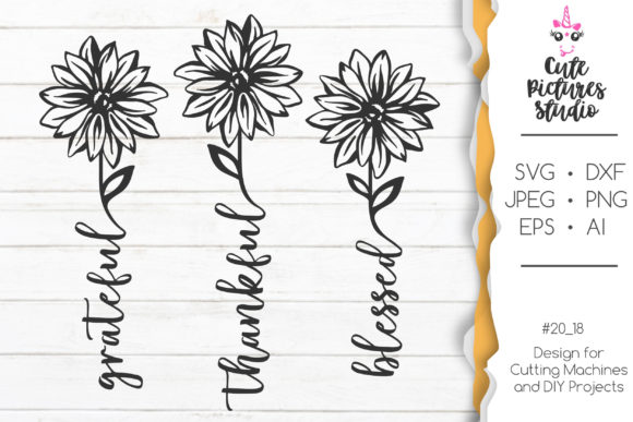Embrace Gratitude with Thankful, Grateful, Blessed
